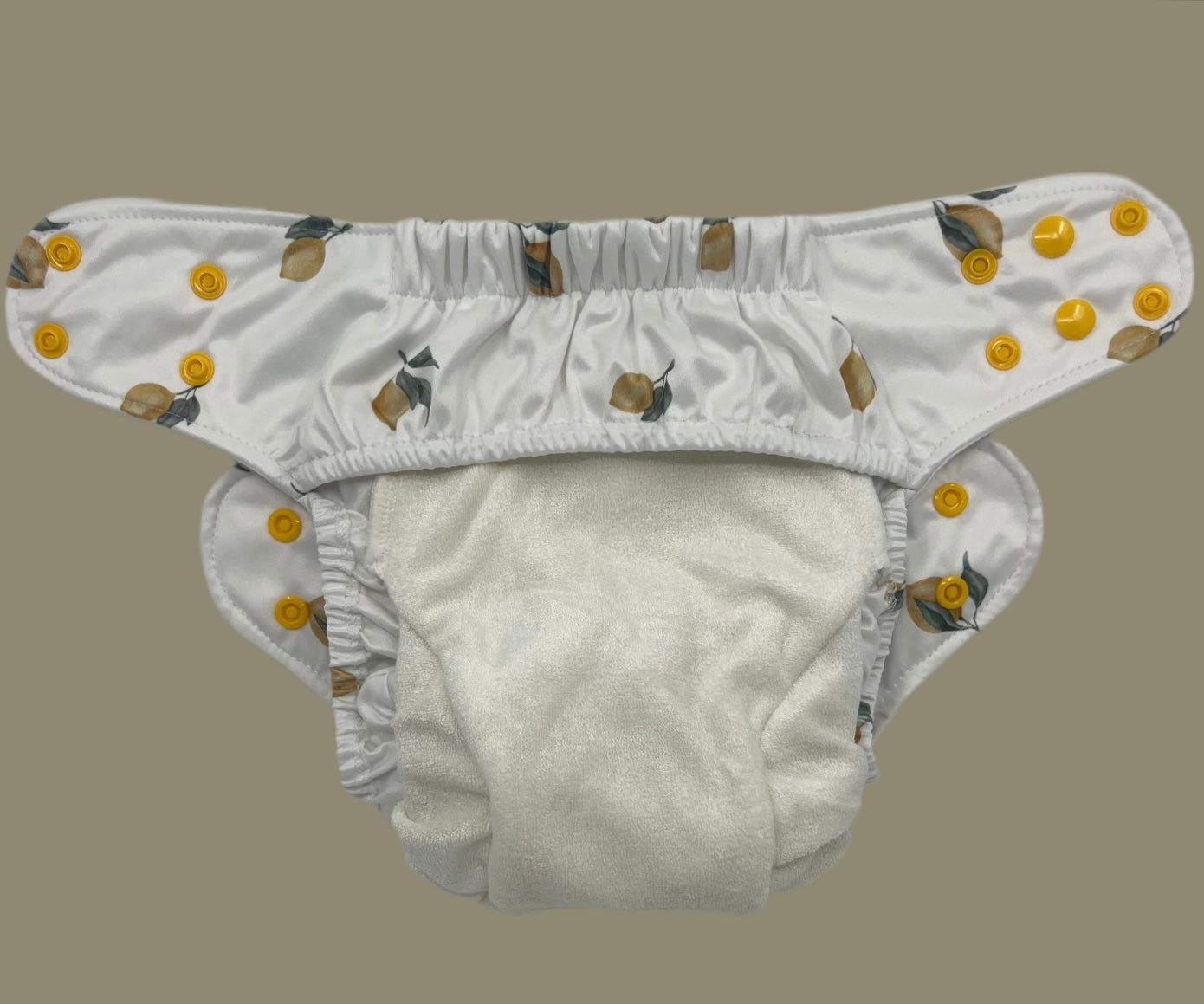 Bamboo terry inserts